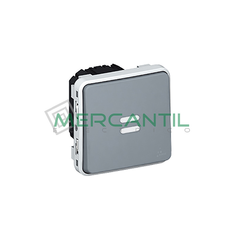 Interruptor Temporizado Luminoso Plexo LEGRAND 
