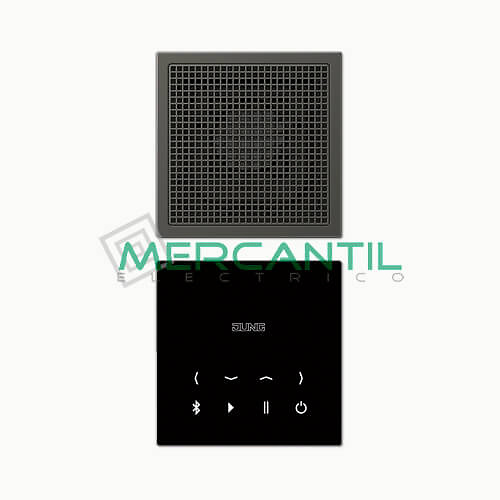 Kit Mono Bluetooth Connect con Display LS990 JUNG Antracita 