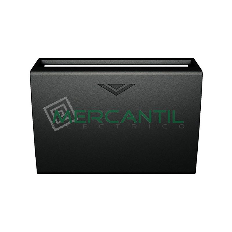 Placa Frontal para Interruptor de Tarjeta 2 Modulos Living Light BTICINO Antracita 