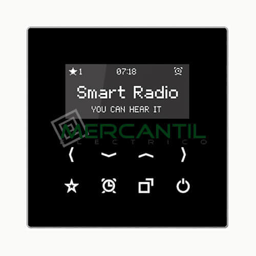 Smart Radio con Display LS990 JUNG Negro 