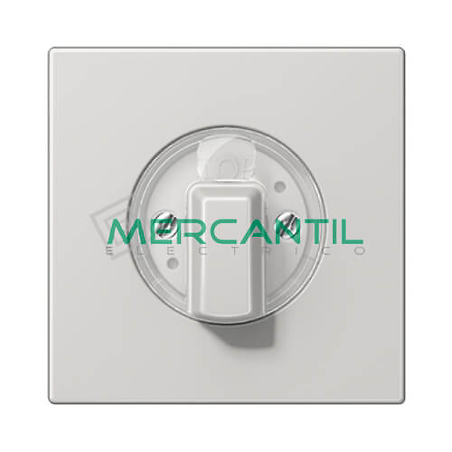 Tapa para Mecanismos de Persianas/Temporizador LS990 JUNG Gris Claro 