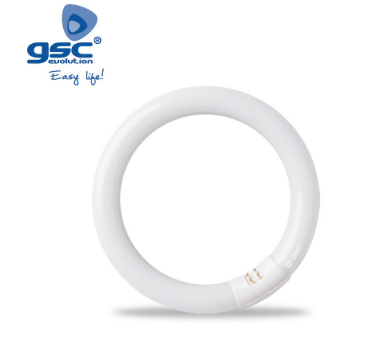 Tubo fluorescente circular T9 32W G10q 6400K Tubo fluorescente circular T9 32W G10q 6400K GSC