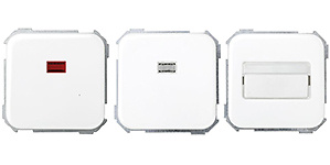 Mecanismos con Visor 10AX 250V