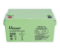 Batería plomo 12,0V/65Ah (350,0x178,0x167,0mm)