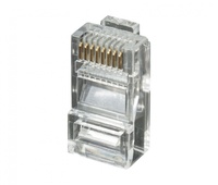 Conector modular RJ45 UTP Cat.6, 3µm oro