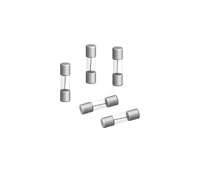 Fusible lento de cristal 5x20mm 5A