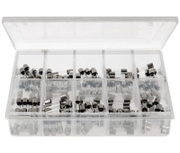 Kit de fusibles lentos 5x20mm