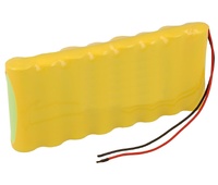 Pack de baterías 9,6V/2500mAh NI-MH