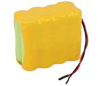 Pack de baterías tipo Flasco 9,6V/2500mAh NI-MH