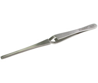 Pinza de sujección