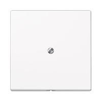 Placa central con salida de cable blanco alpino mate LS990 Jung