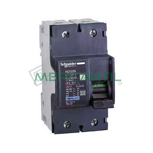 magnetotermico-2p-ng125n-18622 Interruptor Magnetotérmico 2P 16A NG125N Sector Industrial SCHNEIDER ELECTRIC