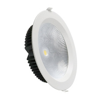 Downlight LED CobPoint 30W