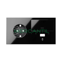 Kit Frontal 2 Elementos 1 Enchufe con 1 Tecla y Cargador USB Posicion Izquierda SIMON 100 - Color Negro