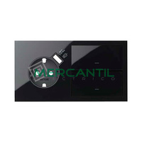 Kit Frontal 2 Elementos 1 Enchufe con Cargador USB y 1 Interruptor 2 Teclas SIMON 100 - Color Negro