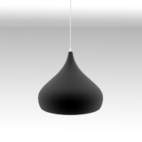 Lámpara de techo Coppen Black
